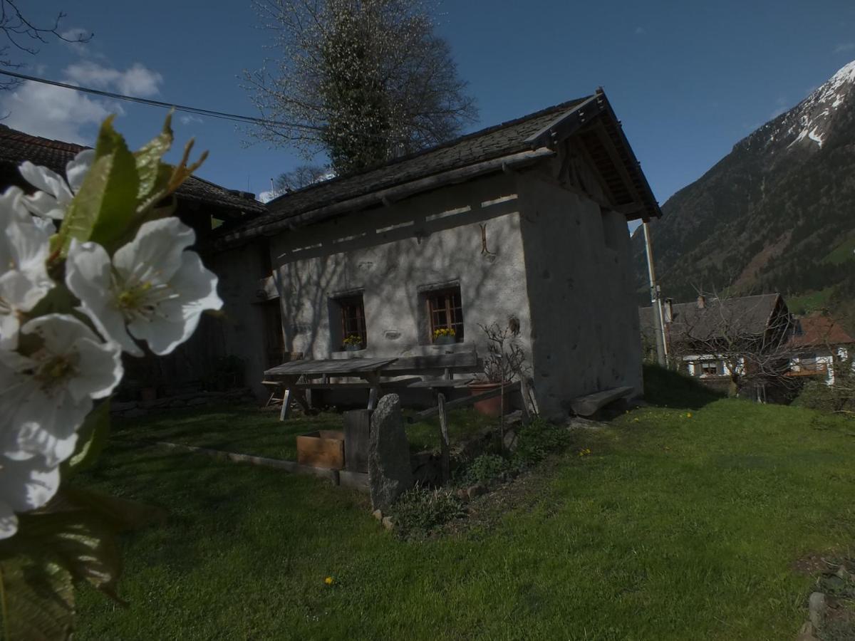 Obergereuth Hof 2021 Appartement San Martino di Castrozza Buitenkant foto