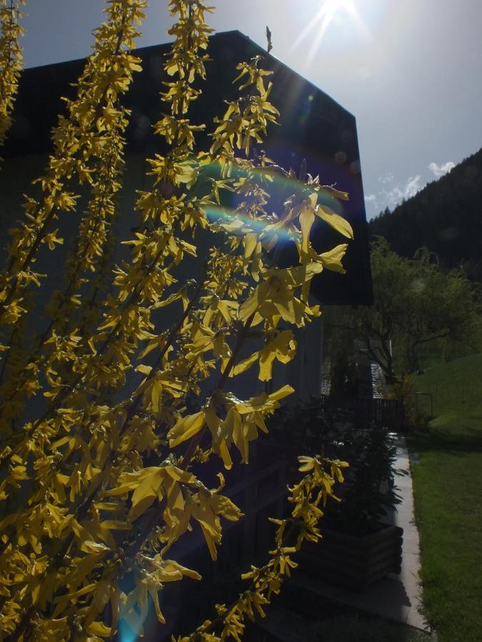 Obergereuth Hof 2021 Appartement San Martino di Castrozza Buitenkant foto