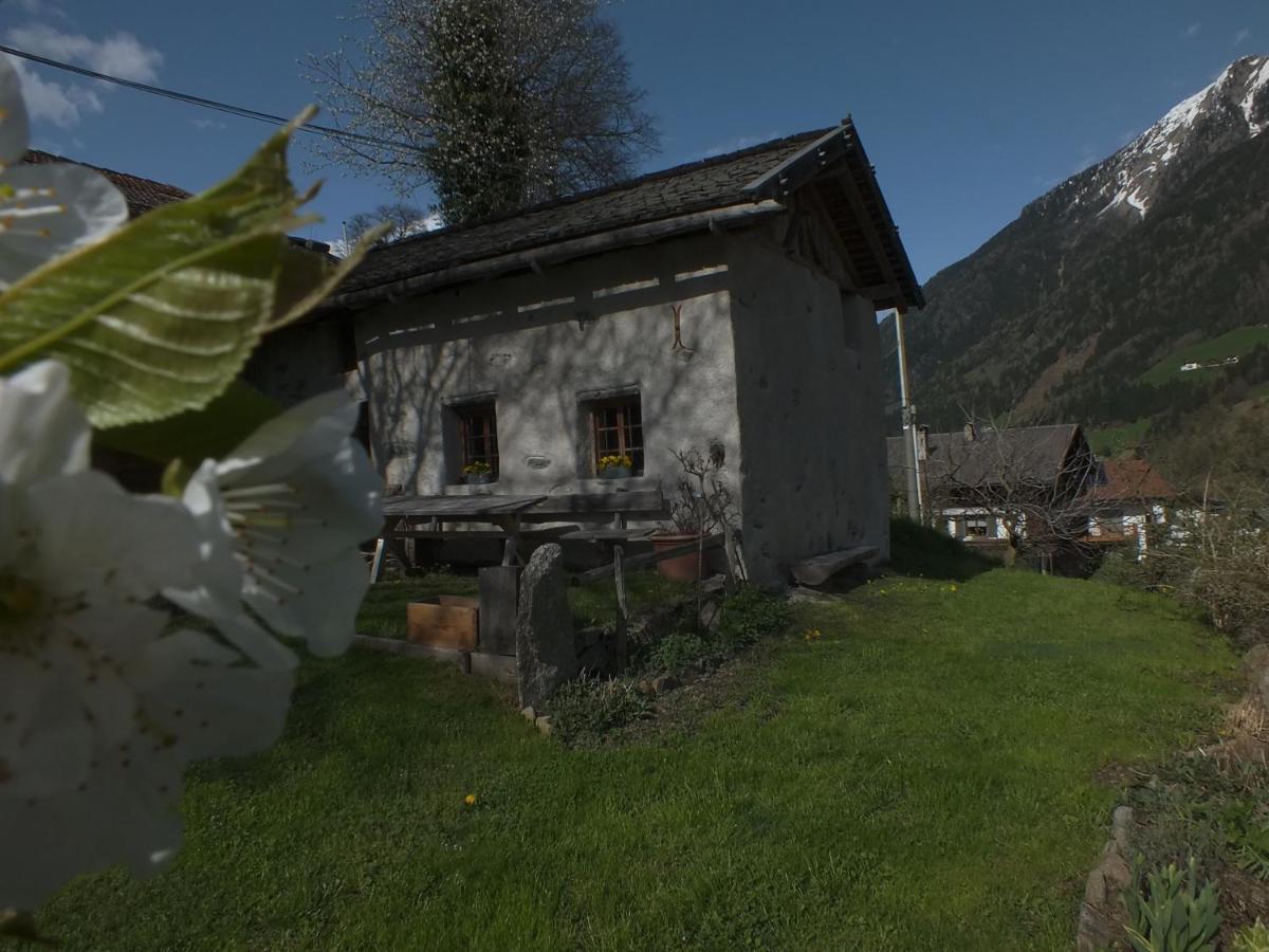 Obergereuth Hof 2021 Appartement San Martino di Castrozza Buitenkant foto