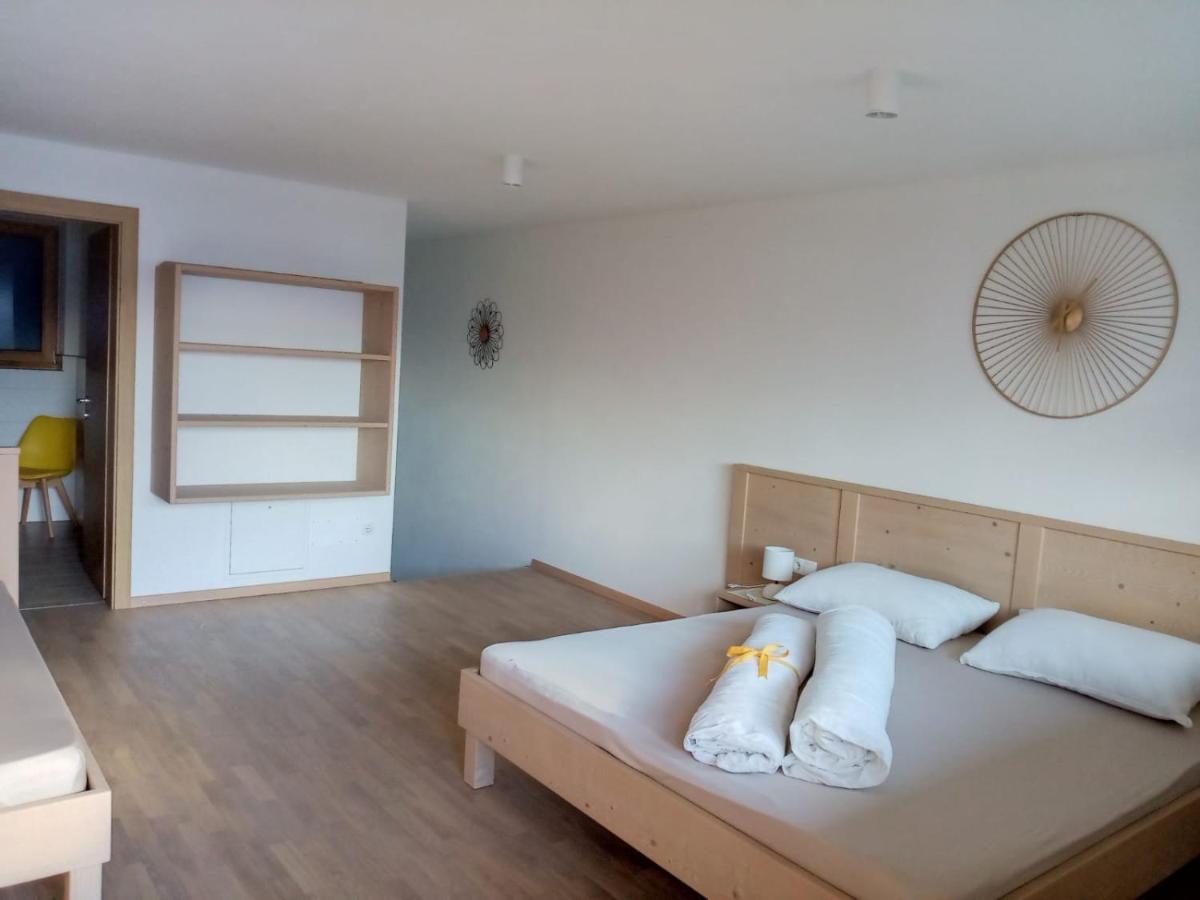 Obergereuth Hof 2021 Appartement San Martino di Castrozza Buitenkant foto
