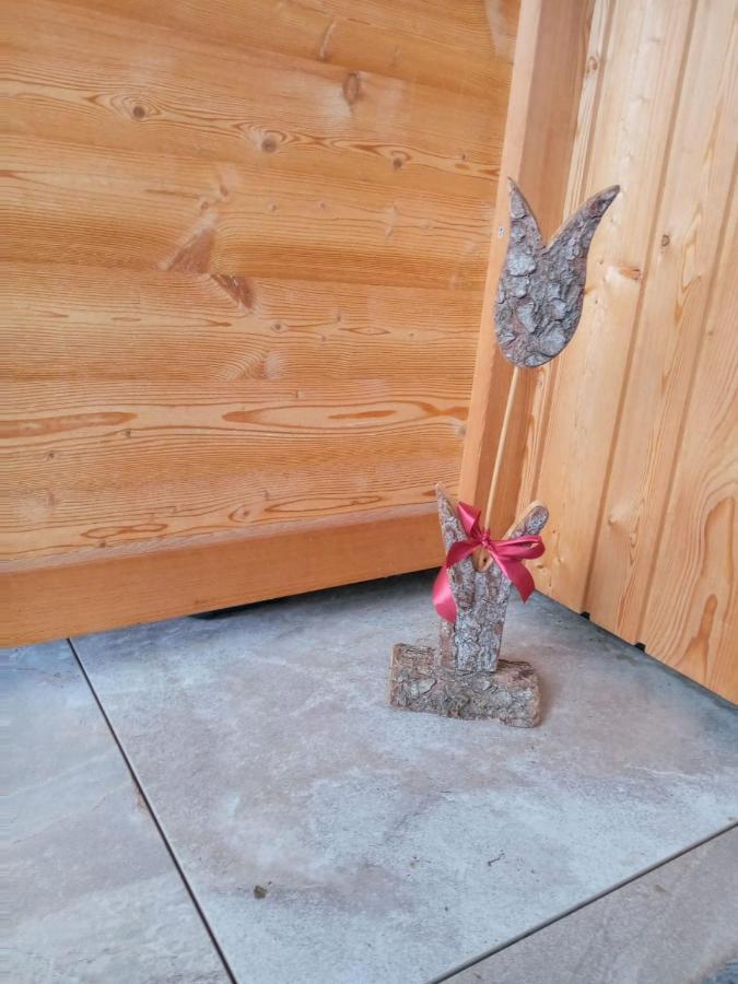 Obergereuth Hof 2021 Appartement San Martino di Castrozza Buitenkant foto