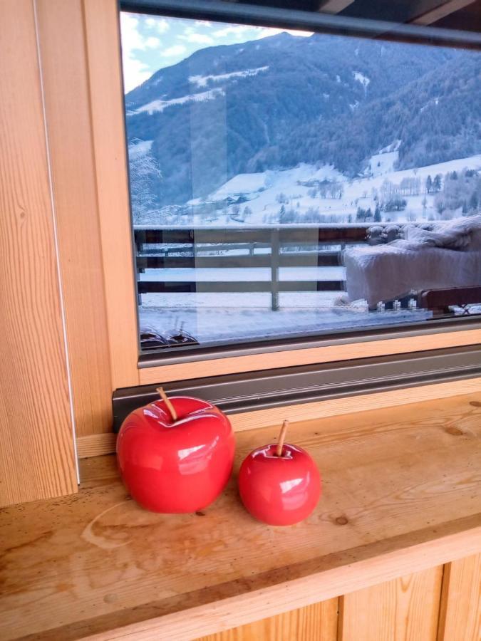 Obergereuth Hof 2021 Appartement San Martino di Castrozza Buitenkant foto