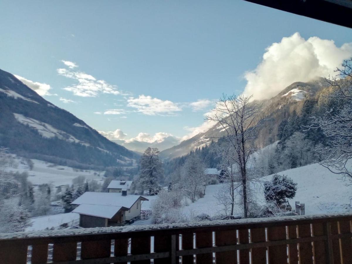Obergereuth Hof 2021 Appartement San Martino di Castrozza Buitenkant foto